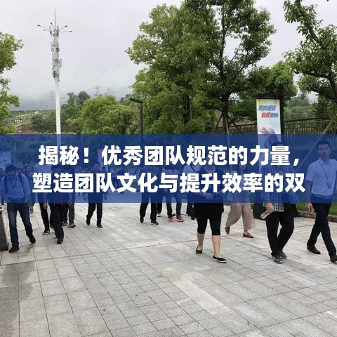 揭秘！優(yōu)秀團(tuán)隊(duì)規(guī)范的力量，塑造團(tuán)隊(duì)文化與提升效率的雙重秘訣