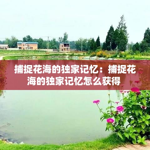 捕捉花海的獨家記憶：捕捉花海的獨家記憶怎么獲得 
