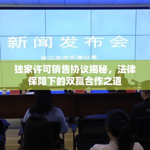 獨(dú)家許可銷售協(xié)議揭秘，法律保障下的雙贏合作之道