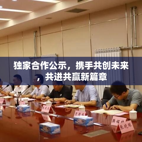 獨家合作公示，攜手共創(chuàng)未來，共進共贏新篇章