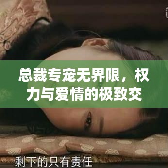 總裁專寵無(wú)界限，權(quán)力與愛(ài)情的極致交融