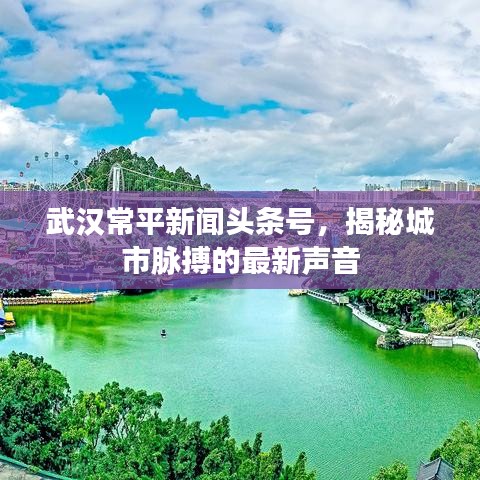 武漢常平新聞頭條號，揭秘城市脈搏的最新聲音
