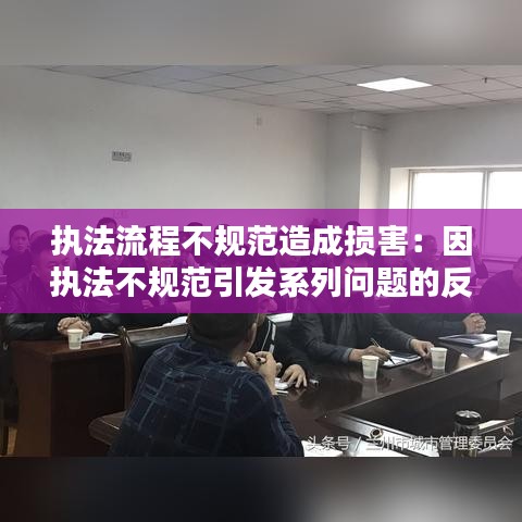 執(zhí)法流程不規(guī)范造成損害：因執(zhí)法不規(guī)范引發(fā)系列問(wèn)題的反思,心得體會(huì) 