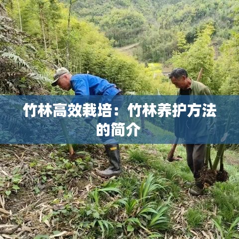 千斤頂 第108頁(yè)