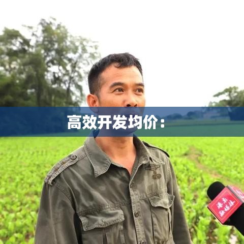 高效開發(fā)均價(jià)： 