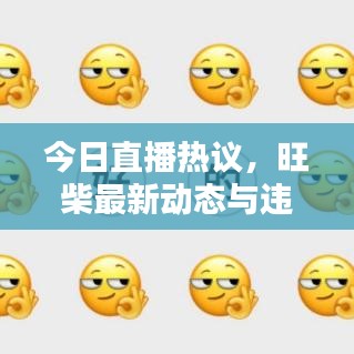 今日直播熱議，旺柴最新動態(tài)與違法犯罪問題探討深度解析