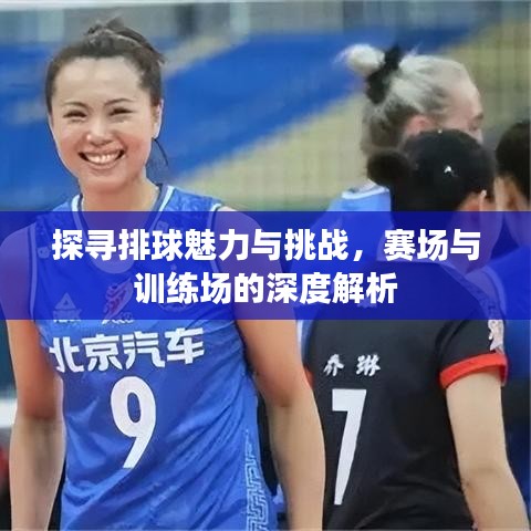 探尋排球魅力與挑戰(zhàn)，賽場與訓(xùn)練場的深度解析