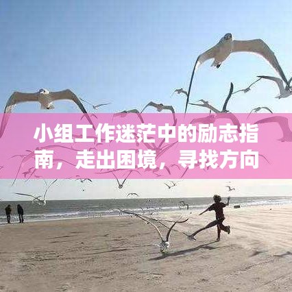 小組工作迷茫中的勵(lì)志指南，走出困境，尋找方向的力量語(yǔ)錄