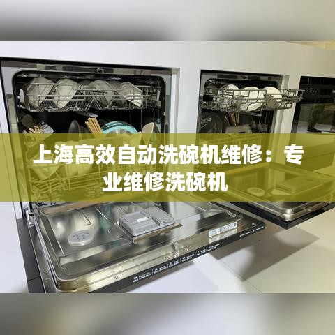 上海高效自動(dòng)洗碗機(jī)維修：專業(yè)維修洗碗機(jī) 