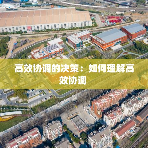 高效協調的決策：如何理解高效協調 