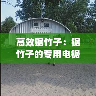 高效鋸竹子：鋸竹子的專(zhuān)用電鋸視頻 