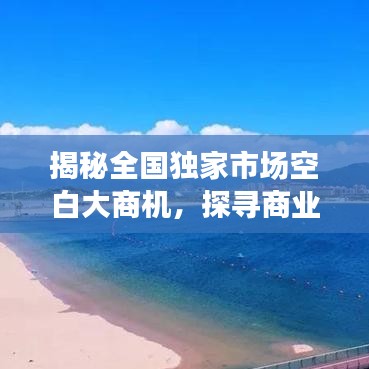 揭秘全國獨(dú)家市場空白大商機(jī)，探尋商業(yè)新藍(lán)海，開啟財(cái)富大門！