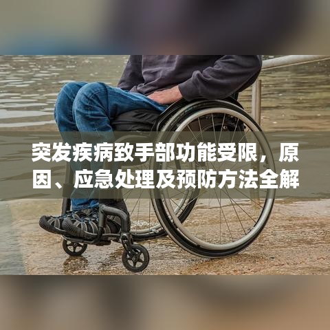 手不釋卷 第3頁