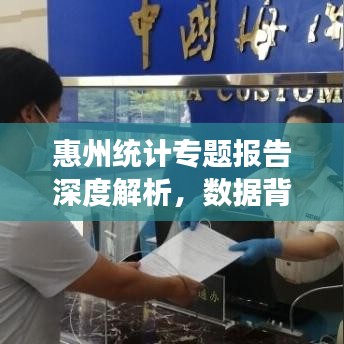 惠州統(tǒng)計(jì)專(zhuān)題報(bào)告深度解析，數(shù)據(jù)背后的真相與洞察
