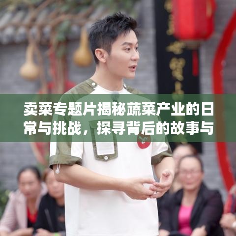 賣菜專題片揭秘蔬菜產(chǎn)業(yè)的日常與挑戰(zhàn)，探尋背后的故事與挑戰(zhàn)
