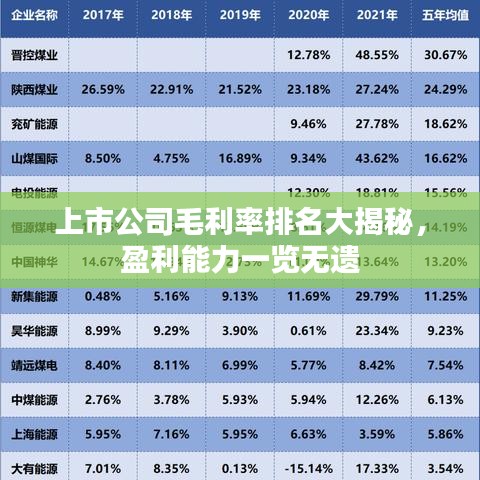 上市公司毛利率排名大揭秘，盈利能力一覽無遺