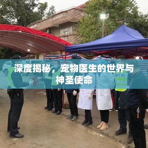 深度揭秘，寵物醫(yī)生的世界與神圣使命