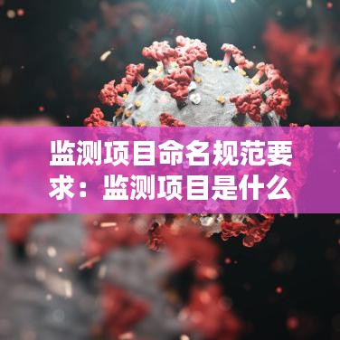 監(jiān)測項目命名規(guī)范要求：監(jiān)測項目是什么意思 