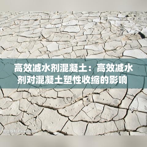 張王李趙 第3頁(yè)