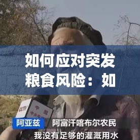 如何應(yīng)對(duì)突發(fā)糧食風(fēng)險(xiǎn)：如何應(yīng)對(duì)糧食短缺 