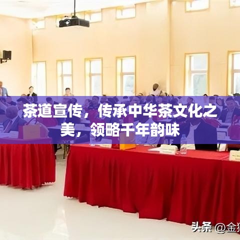 茶道宣傳，傳承中華茶文化之美，領(lǐng)略千年韻味