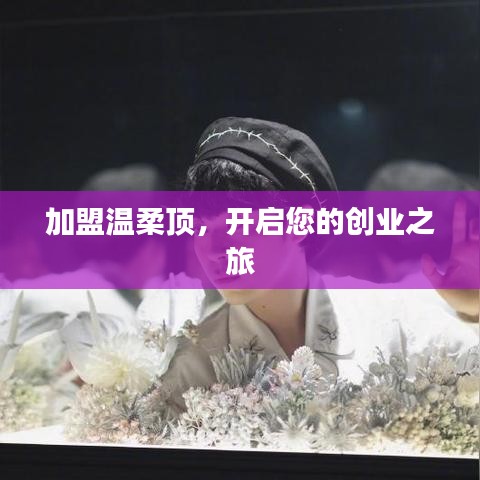 加盟溫柔頂，創(chuàng)業(yè)啟程啟航