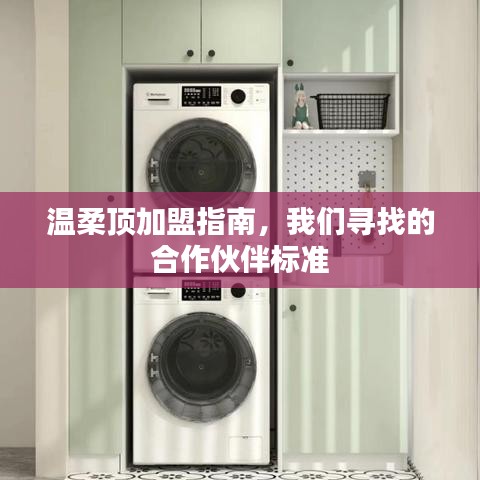 溫柔頂加盟手冊(cè)，合作伙伴招募標(biāo)準(zhǔn)詳解