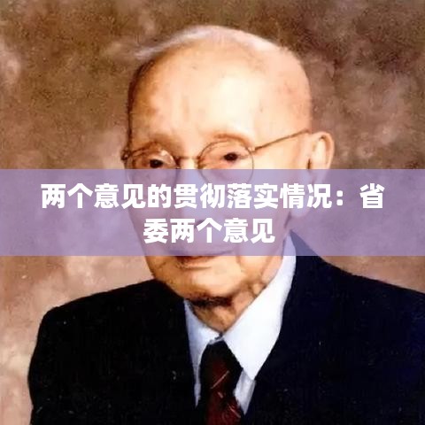 兩個意見的貫徹落實情況：省委兩個意見 