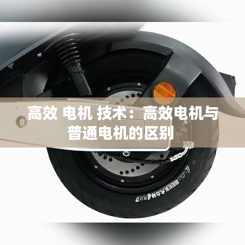 高效 電機 技術(shù)：高效電機與普通電機的區(qū)別 