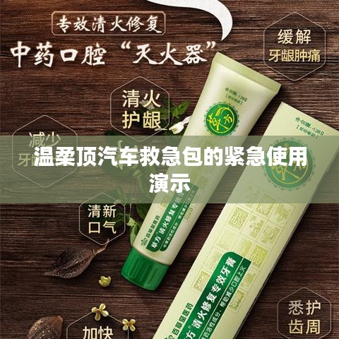 溫柔頂汽車救急包緊急使用指南，演示篇