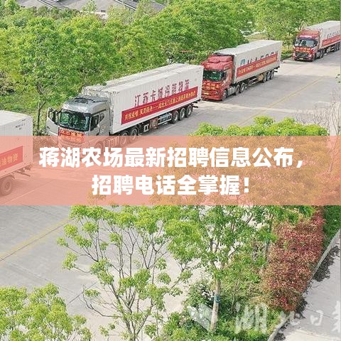 蔣湖農(nóng)場最新招聘信息公布，招聘電話全掌握！