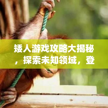 矮人游戲攻略大揭秘，探索未知領域，登頂頂尖玩家之路！