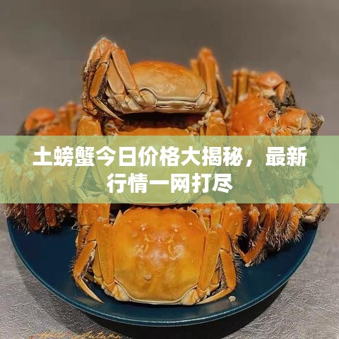 土螃蟹今日價(jià)格大揭秘，最新行情一網(wǎng)打盡
