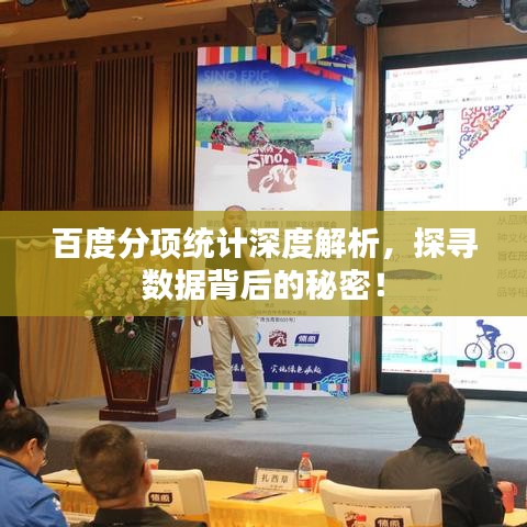 百度分項(xiàng)統(tǒng)計(jì)深度解析，探尋數(shù)據(jù)背后的秘密！