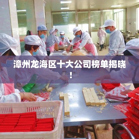 漳州龍海區(qū)十大公司榜單揭曉！
