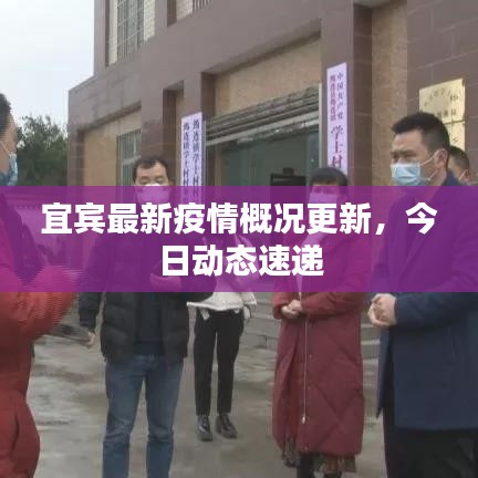 宜賓最新疫情概況更新，今日動態(tài)速遞