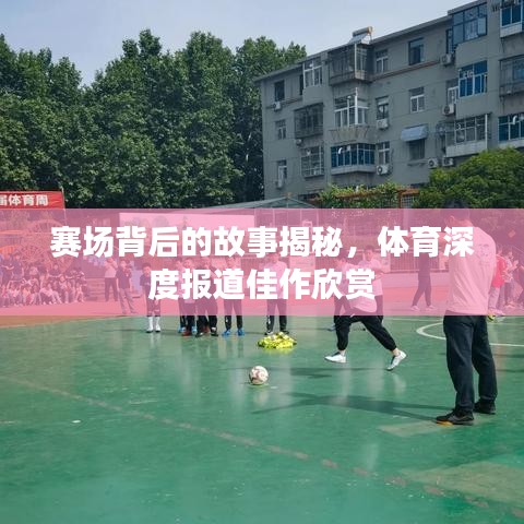 賽場(chǎng)背后的故事揭秘，體育深度報(bào)道佳作欣賞