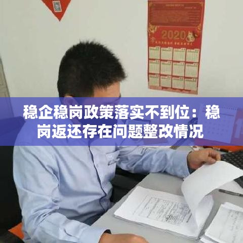 穩(wěn)企穩(wěn)崗政策落實不到位：穩(wěn)崗返還存在問題整改情況 