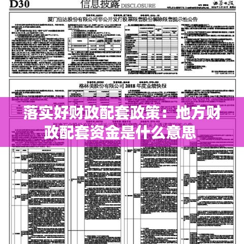 落實好財政配套政策：地方財政配套資金是什么意思 