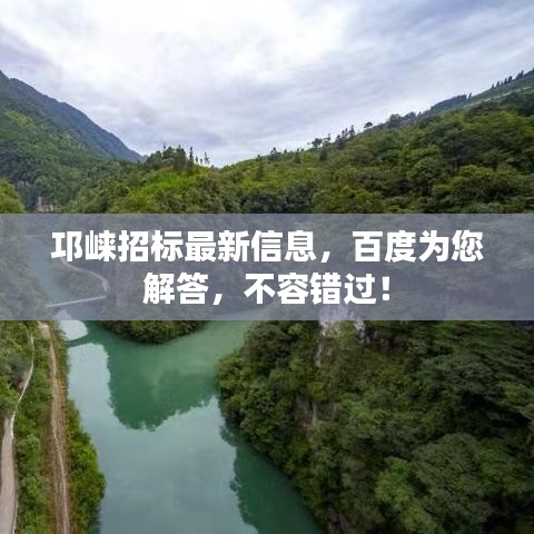 張張屈屈 第3頁