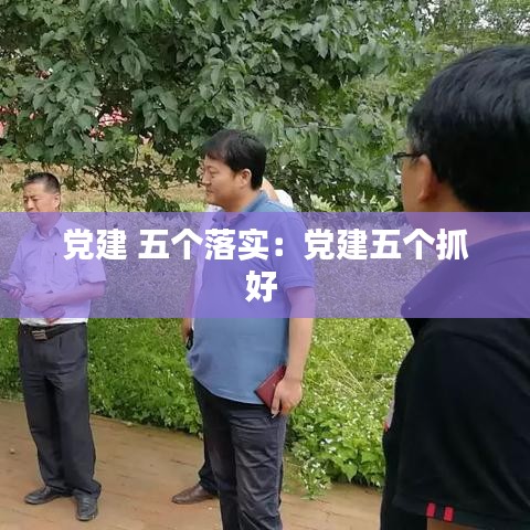 黨建 五個落實：黨建五個抓好 