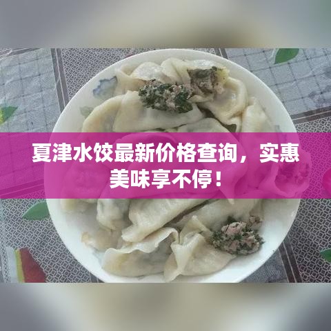 夏津水餃最新價格查詢，實惠美味享不停！