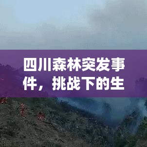 四川森林突發(fā)事件，挑戰(zhàn)下的生態(tài)守護(hù)與保護(hù)重要性