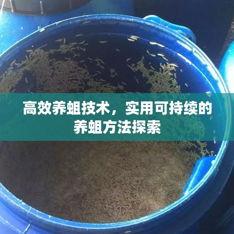 高效養(yǎng)蛆技術(shù)，實(shí)用可持續(xù)的養(yǎng)蛆方法探索