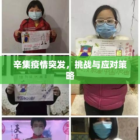辛集疫情突發(fā)，挑戰(zhàn)與應(yīng)對(duì)策略