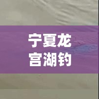 寧夏龍宮湖釣魚秘籍，最新攻略全解析！