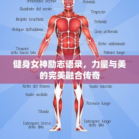 健身女神勵(lì)志語錄，力量與美的完美融合傳奇