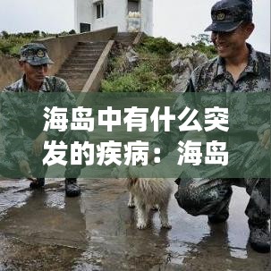 海島中有什么突發(fā)的疾病：海島現(xiàn)狀 