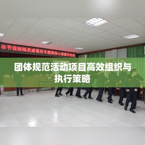 團體規(guī)范活動項目高效組織與執(zhí)行策略