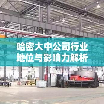 哈密大中公司行業(yè)地位與影響力解析，排名及影響力揭秘